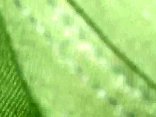 Indian Stepbrother and Stepsister