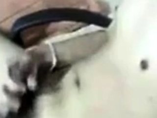 Asian Twink Masturbates on Webcam