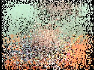 I'm Busy with My Pussy