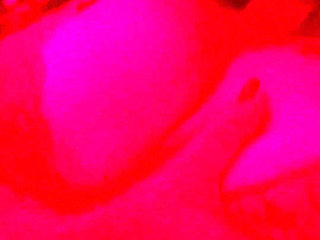 My Big Juicy Tits
