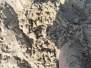 Nice Feet on the Beach