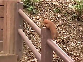 Claire in a Picture and Fuck Session Outdoor