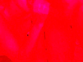 If You Like Blowjobs