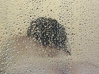 Fucking Hard, Moaning Loudly and Squirting in the Bathroom