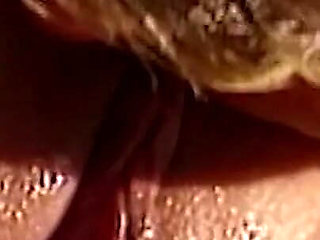 Outdoor Blonde Babe Sucks Cock and Gets Pussy Eaten