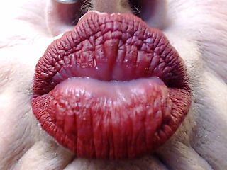 Super duck closeup lipstick red matte