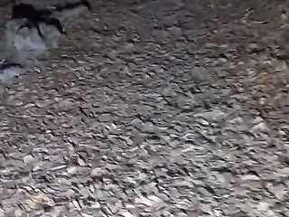 Night Hiking and Remove Most of My Clothes