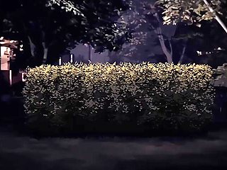 Moment of the Figure_24012604p0
