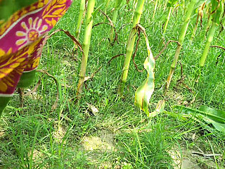 Outdoor my Hot Young Bhabhi and me