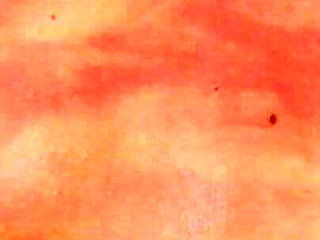 Policeman Tyron breast whip