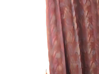 Busty Susi Go Out to Make Clear a Fuck Date