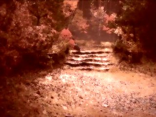 Passionate Impulse inside the night_171027p0002
