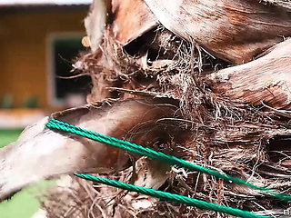 Wet Sneaky Blowjob With Sapphire Astrea And Jordi Big Cock