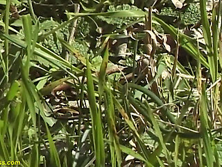 Hairy bush skinny German girl rough big cock outdoor fucked