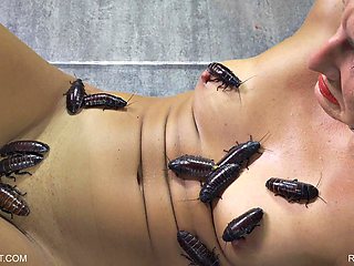 Lesbian BDSM Rough Sex
