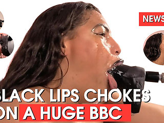 Black Lips Swallow on a Huge BBC