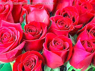 Big ass anal action with Desi Mazaa from Bangladesh