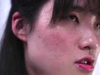 x3xBE64DFDFB3C9536C5C