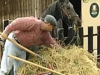 German teen gets facial after hard anal fuck