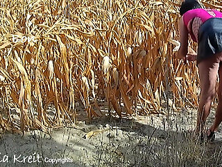 Nothing Better Than an Outing in the Countryside in Corn Field to Do Yourself Good