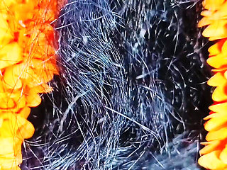 Indian Step Daughter Crazy Fucking Father in Law, Telugu Dirty Talks