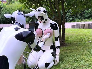 Big tittied lactating freaks milked like cows outdoors
