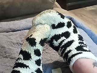 Quit stealing my socks jack