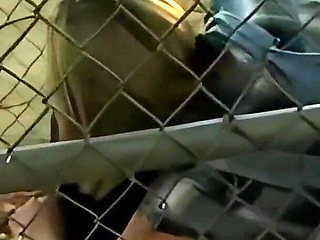 Nights of Passion for Two Couples in Search of Orgasm