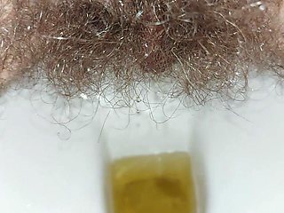 I Pissed a Lot Again