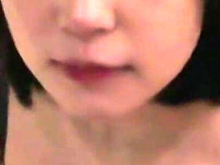 Annual Amateur Harvest Footage: Once-a-year Night of Exciting Encounters