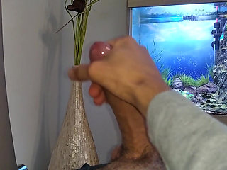 Hot Young Guy Wanks His Nice Big Cock Until He Cums Slowly in Front of the Aquarium