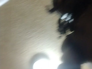 Fun on a Sunday night.