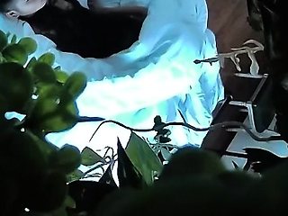Asian Girl Hidden Cam Free Webcam Porn Video