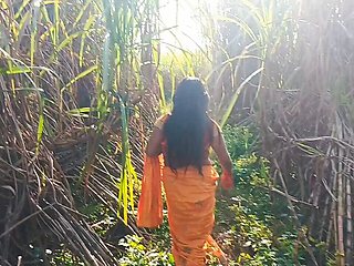 Indian Mommy and Daddy Outdoor Sex Video