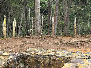 Country MILF Flirts with Me at the Fair and We Meet up in the Woods