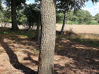 Fucked at the Edge of the Forest