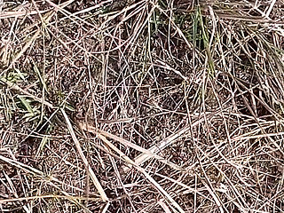 Gay Boy Sucking Wife Pussy Outdoor Masterbate