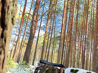 Freeze Time Woods Creepy Neighbor Freezes Cute Jogger