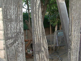 Big black cock in her sexy big round ass