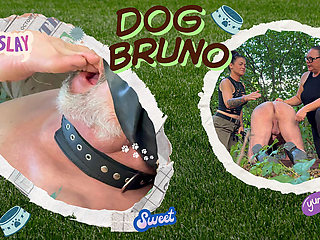 Pet Bruno in the Park