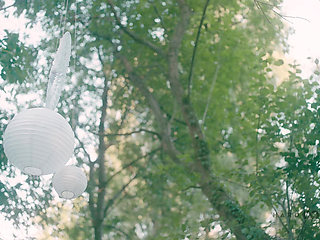 Garden Bang No Music