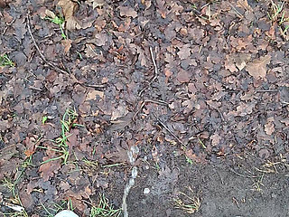 First time outside on camera pissing