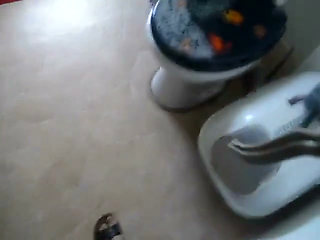 Swallow My Piss