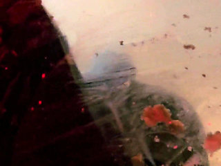 Monika Schmidt Burger Crushing Giantess Spitting Boot Worship