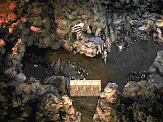 The Genesis Order: On An Investigation With Hot MILF ep.48