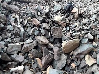 pee on the moutain so fun