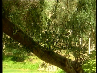 Rough Face Fucking Until Tears Run Down Makeup Ruined Face