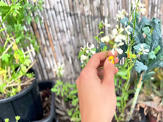 Naked in the Garden: Private Patio Tease, Pee for Plant