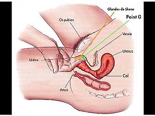 Vic Alouqua In How Do You Become A Fountain Woman? How To Make Your Girlfriend?