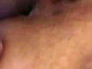 The Pussies From the Office Tower